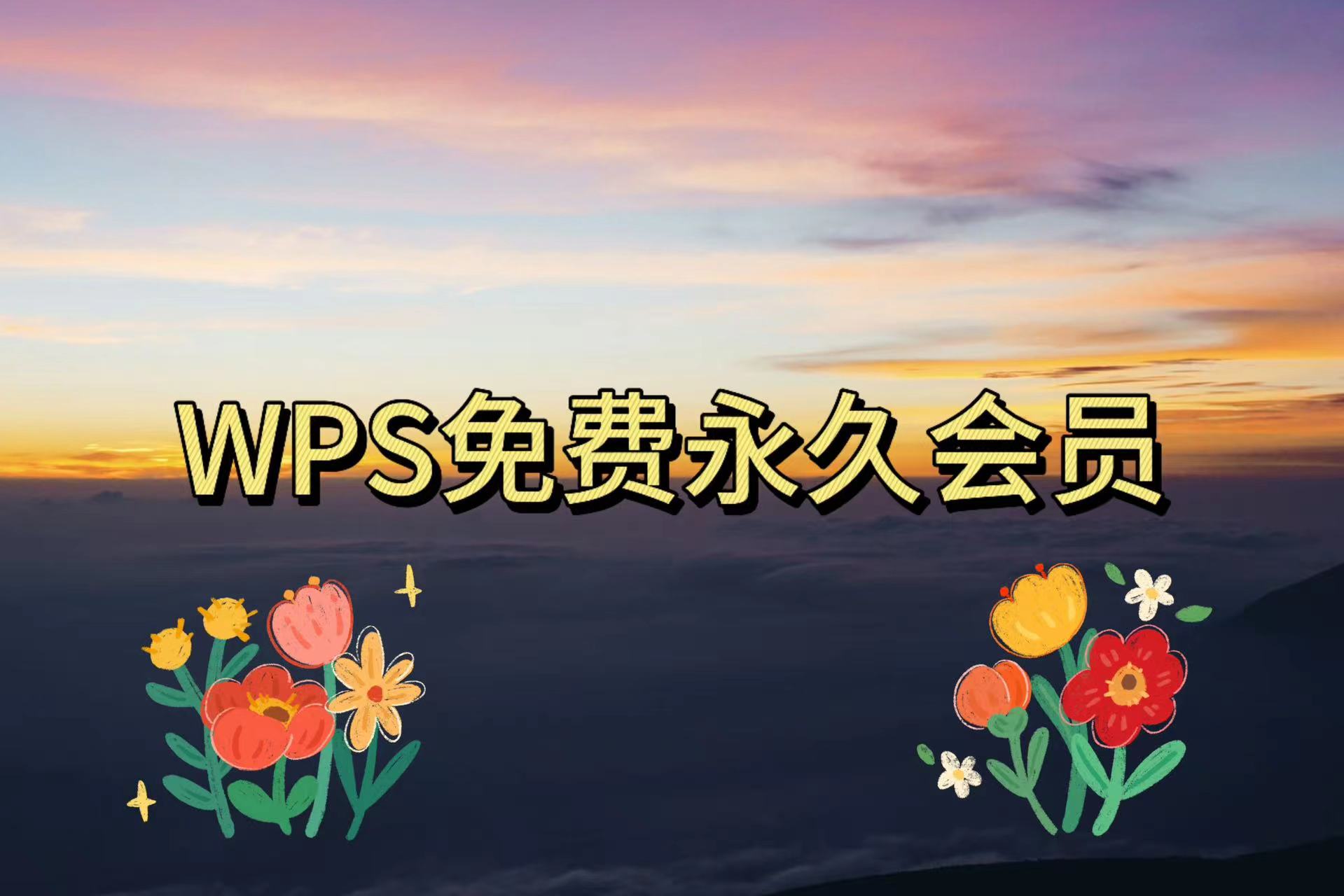 WPS免费永久会员-小花严选