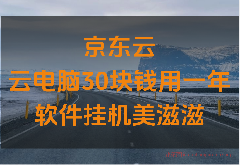 京东云_云电脑30块钱用一年_软件挂机美滋滋~-小花严选
