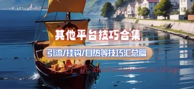 其他自媒体技巧攻略_引流/挂钩/自热等技巧汇总篇（24.12.9补充）-小花严选