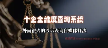 个企信息全维度查询系统_外面很火的涉诉查询自媒体打法-小花严选