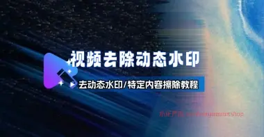 视频去除动态水印_去动态水印/特定内容擦除教程-小花严选