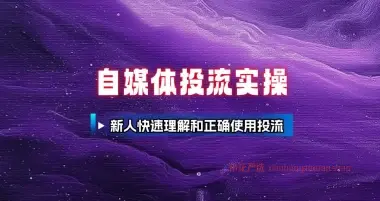 完整投流实操_新人快速理解和正确使用投流（25.7.16补充）-小花严选