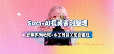 Sora视频生成系列教程+去水印等相关配套整理
