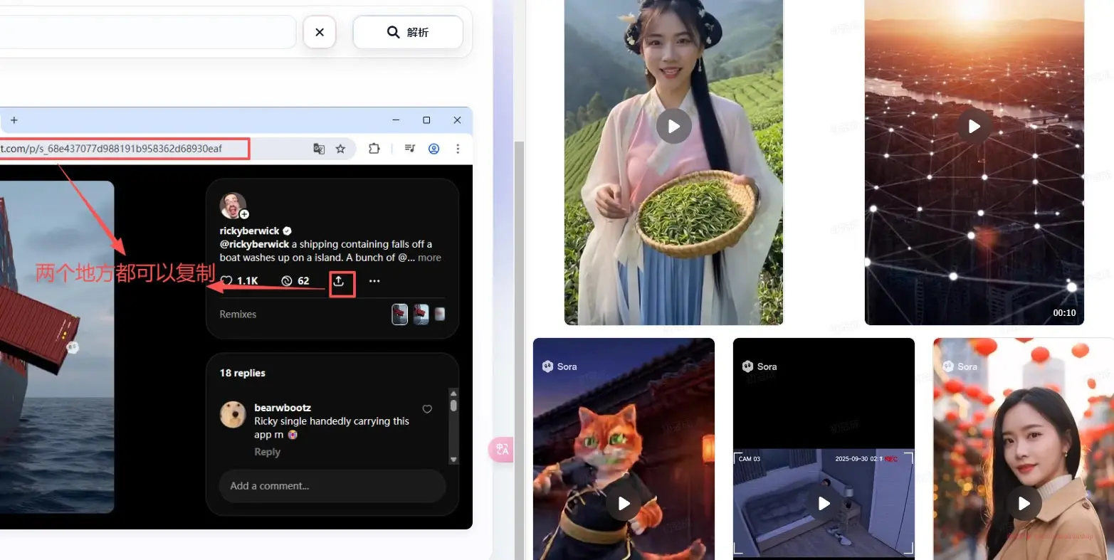 图片[2]-Sora视频生成系列教程+去水印等相关配套整理-小花严选