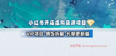 小红书开店+虚拟资料全流程项目 [25.10.23补充]-小花严选